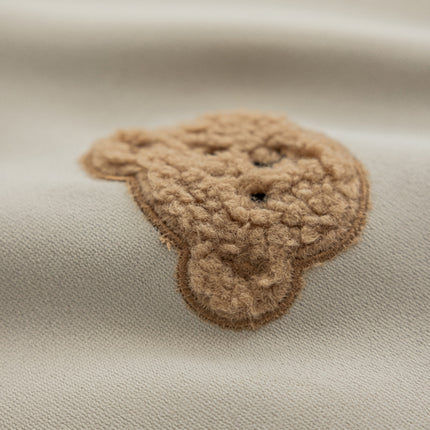 a brown teddy bear on a white background