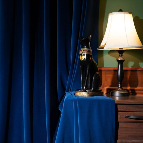 Blue Velvet Curtain