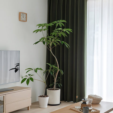 Bedroom Curtains